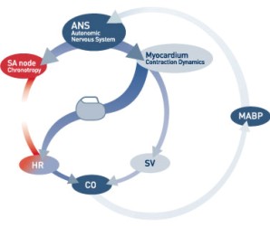 CLSystem
