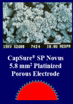 Electrode Surface